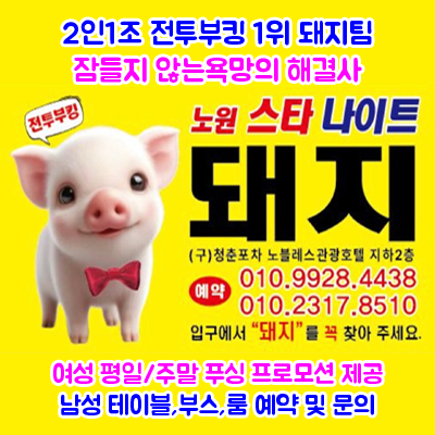 노원스타나이트