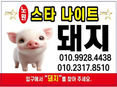 노원스타나이트